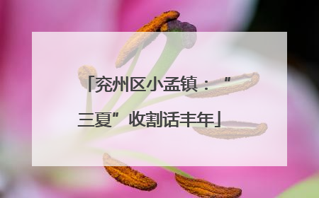 兖州区小孟镇：“三夏”收割话丰年